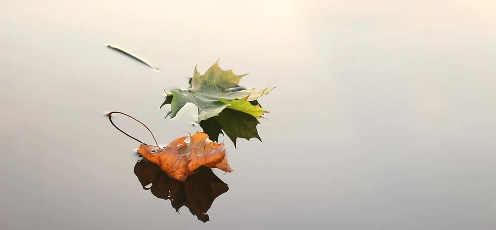 Be The Better Rails Developer