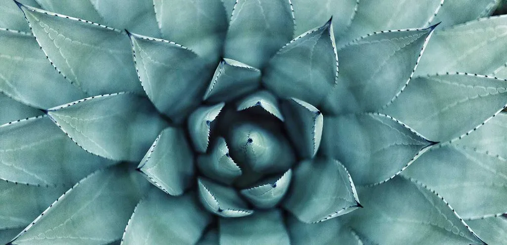 Setting Up Rails Over HTTPS Using Nginx and Let's Encrypt