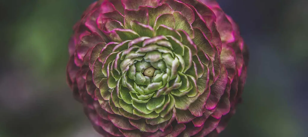 Building a Rails Notification Queue 1: The Database