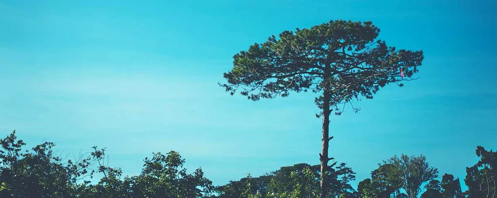 Your App Has One Feature