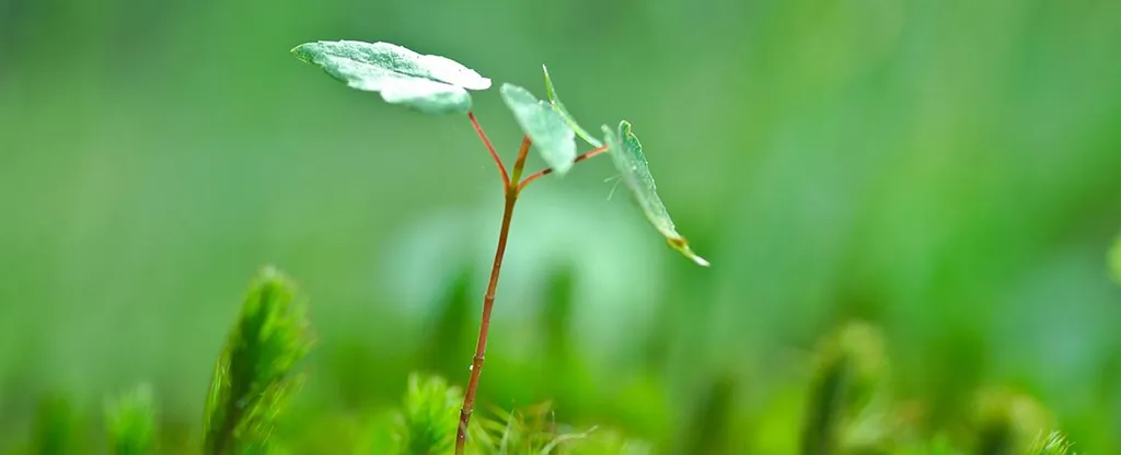 Prove Features Manually