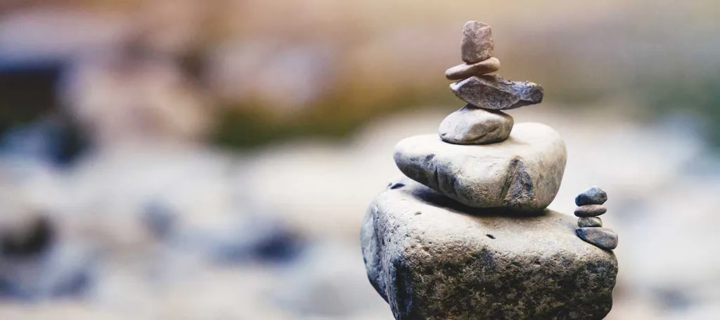 There Can be No Ego in Products