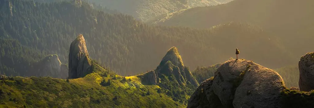 Quotes That Changed How I Approach Software