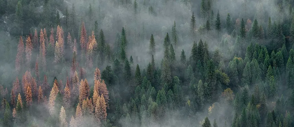 The Internet is Fundamentally Flawed