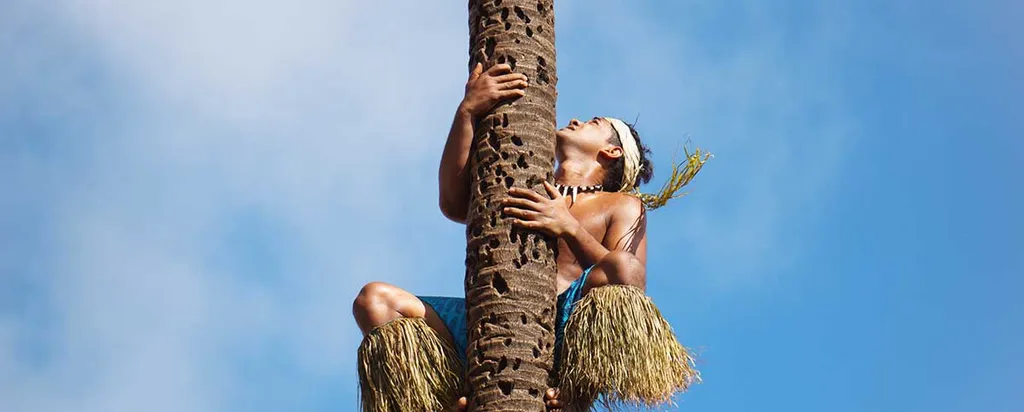 "I would describe my codebase as _____ and _____."