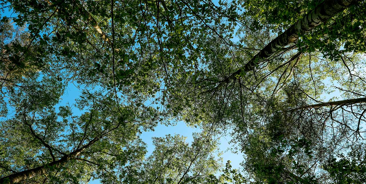 Understanding Regular Expressions 4: Lookarounds