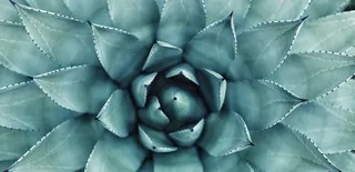 Setting Up Rails Over HTTPS Using Nginx and Let's Encrypt