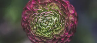 Building a Rails Notification Queue 1: The Database