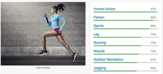 Deep Image Analysis with Ruby and Google Cloud Vision