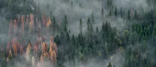 The Internet is Fundamentally Flawed