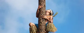 "I would describe my codebase as _____ and _____."